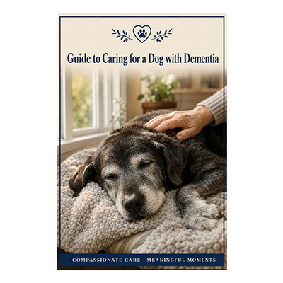 Guide to Caring for a Dog with Dementia