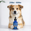 option 1
