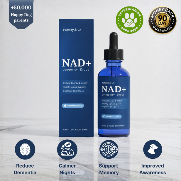 NAD+ Formula