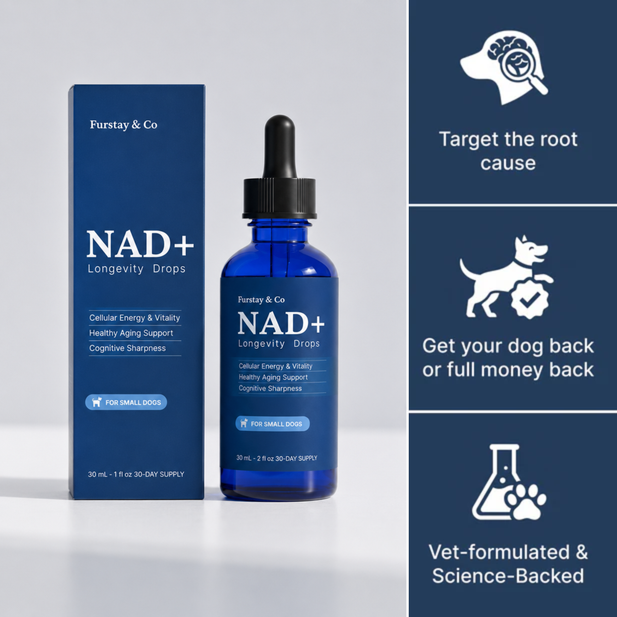 NAD+ Formula
